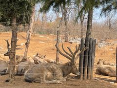 -济南野生动物世界