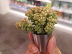 -名创优品(广东东莞东城万达2店)