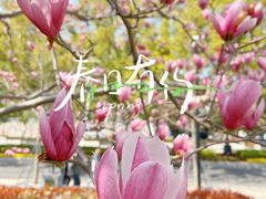 -人民广场