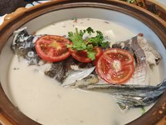 -全乐鱼馆·淳牌有机鱼直营店