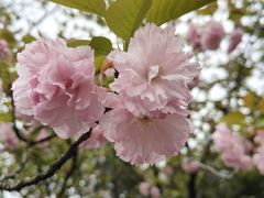 -长广溪湿地公园