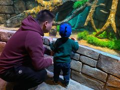 -沈阳海洋探索中心