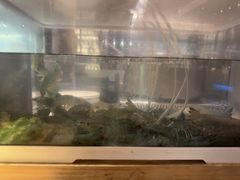 -西安皇冠假日酒店·朱雀咖啡厅