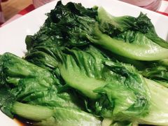 罗马生菜-西贝(上海我格广场店)