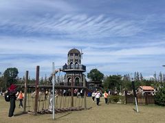 -上海长兴岛郊野公园