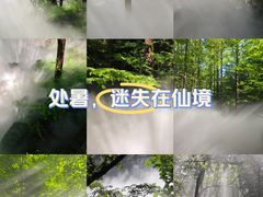 -国家植物园
