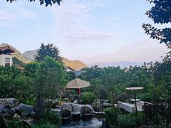 -英德宝晶宫天鹅湖茶语温泉