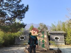 -阳台山自然风景区