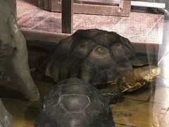 -石家庄市动物园