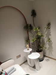 点击看大图 -WENDY·温迪皮肤管理