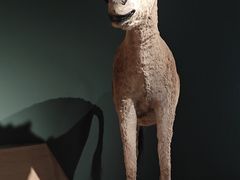 -中国湿地博物馆