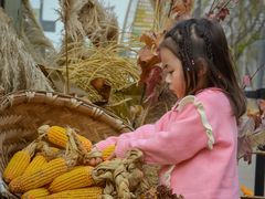 -中国天府农业博览园