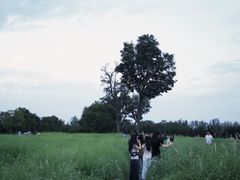 -汉长安城未央宫国家考古遗址公园