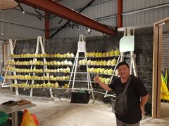 -都念榴莲·城市榴莲