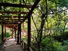 -大岭沟猕猴桃谷风景区