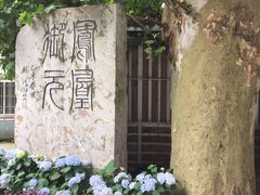 -凤凰御元艺术基地