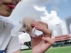-詹爷爷乌节路街头冰淇淋
