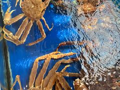 -今鲜源大酒店·中华餐饮名店(新湛路店)