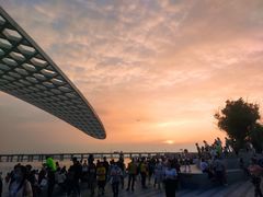 -宝安西湾红树林湿地公园