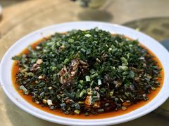 白砍鸡-春涛餐馆(下坝店)