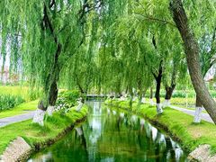 -洋湖国家湿地公园