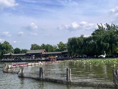 -济南大明湖景区