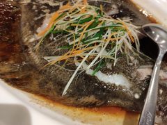 清蒸桂花鱼-大树头·花园餐厅(市桥店)