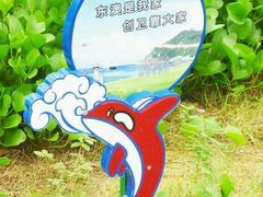 android_upload_pic-东澳岛