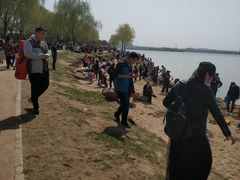 -丁香湖公园
