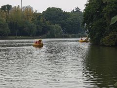 -溱湖国家湿地公园