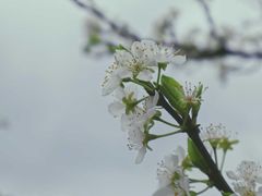 -桤木河湿地公园