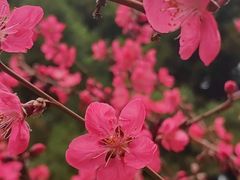 -月坛公园