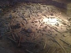 -侵华日军南京大屠杀遇难同胞纪念馆-停车场