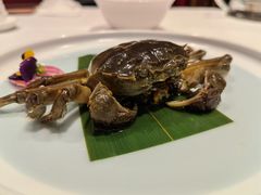 醉蟹-上海老饭店(北京分店)