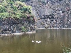 -东莞植物园