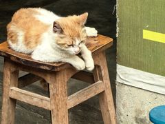 -尧坝古镇