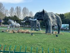 -北京野生动物园