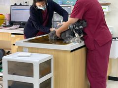 -美联众合动物医院·24h京西诊疗中心