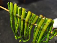 -阿梅姐美食店