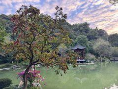 -云溪植物园
