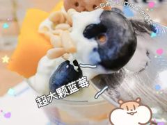 -Blueglass酸奶(财富购物中心店)