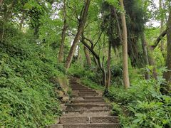 -青城山