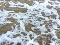 -后海村