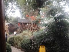 -耕渔小院·湖南鱼鲜(望城店)