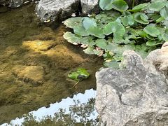 -青州古城
