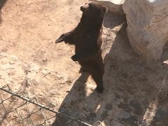 -石家庄市动物园