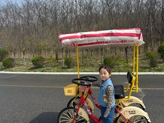 -辽宁团山国家级海洋公园