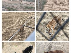 -无锡动物园·太湖欢乐园