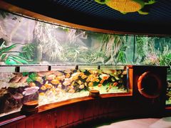 -太平洋海底世界