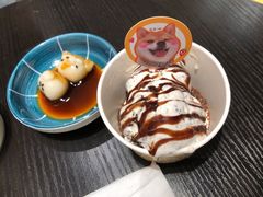 -逗柴咖啡屋·狗咖猫咖宠物桌游